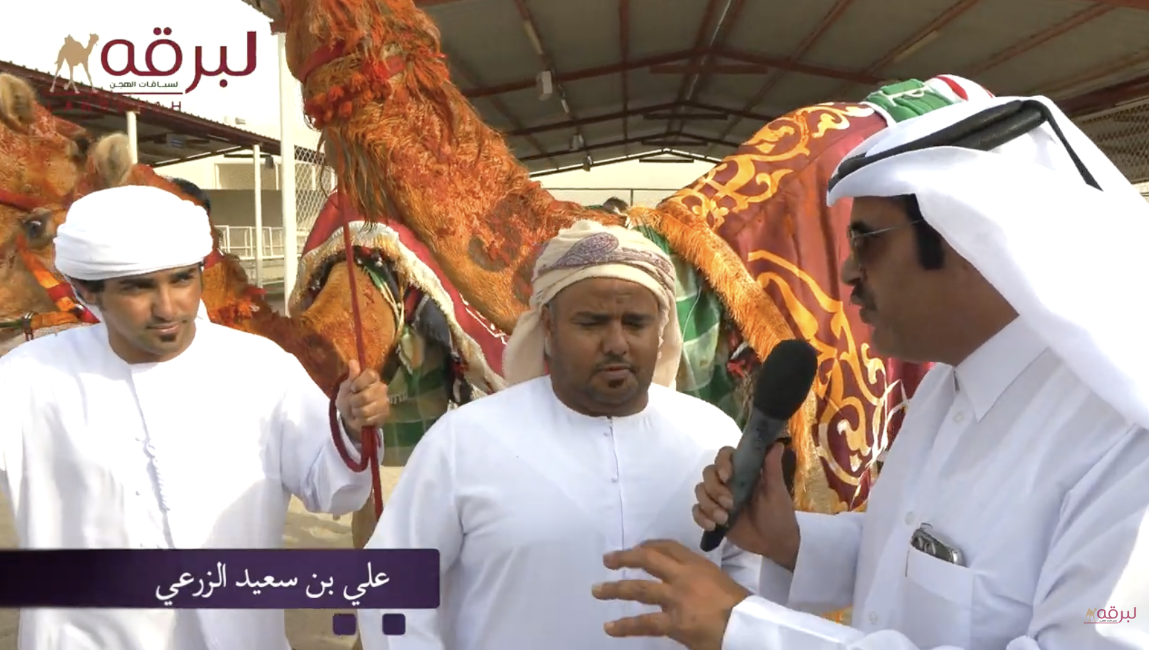 لقاء مع علي بن سعيد الزرعي .. مضمر «العاصمه» الحاصلة علي السيف الفضي للحيل مفتوح بمهرجان صاحب السمو الأمير الوالد 23-02-2025